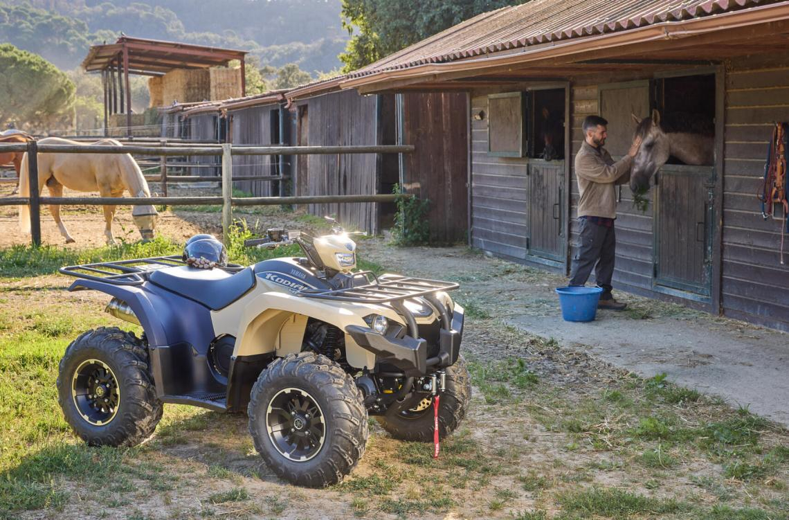 KODIAK 450 EPS SE